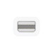 Apple Thunderbolt to FireWire Adapter2